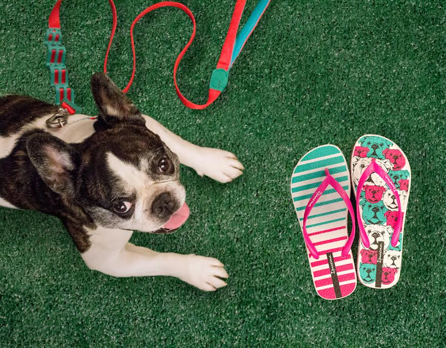 Exposição retrata cariocas com seus animais de estimação