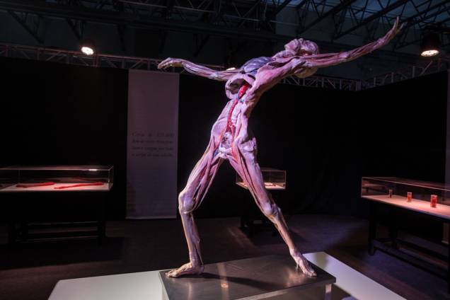 Human Bodies – Maravilhas do Corpo Humano Human Bodies – Maravilhas do Corpo Humano