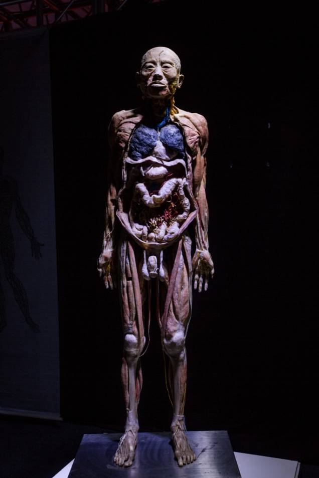 Human Bodies – Maravilhas do Corpo Humano Human Bodies – Maravilhas do Corpo Humano