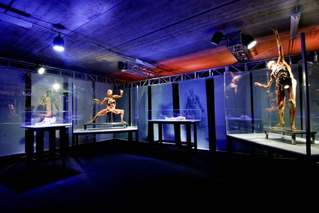 Human Bodies – Maravilhas do Corpo Humano Human Bodies – Maravilhas do Corpo Humano