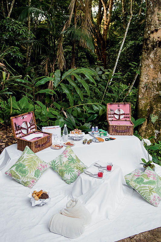 Copacabana Palace oferece piquenique na Floresta da Tijuca