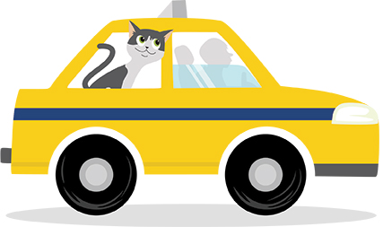 Guarda compartilhada faz gata carioca pegar taxi toda sexta