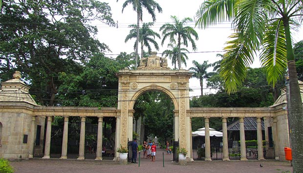 Empresa ganha a licitação para administrar o zoológico do Rio