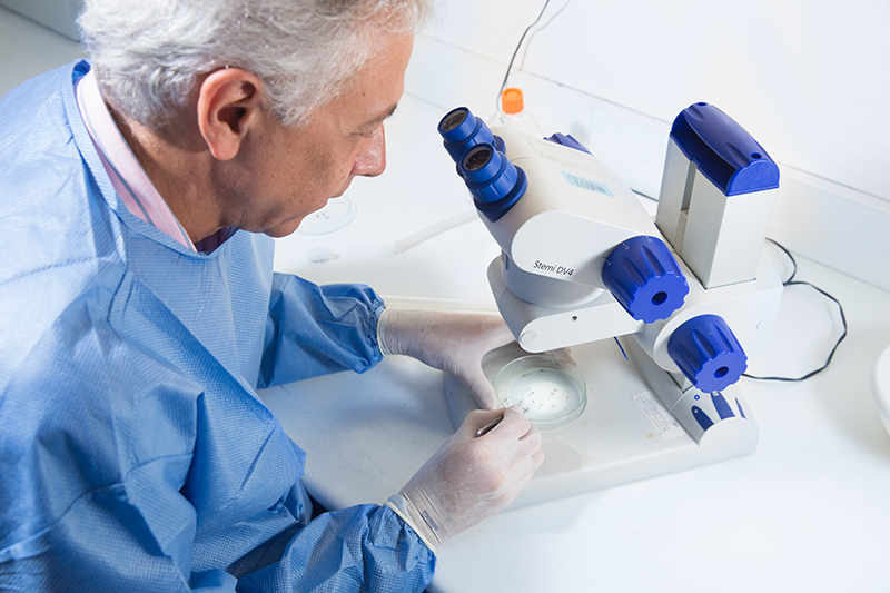 Um batalhão de cientistas junta esforços para combater o Aedes aegypti