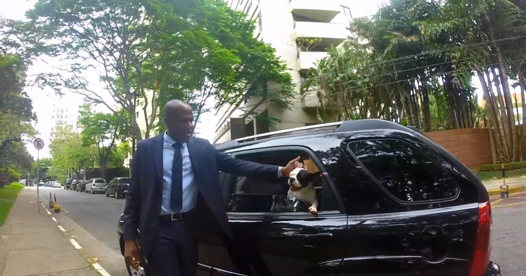 Uber lança serviço de transporte de animais