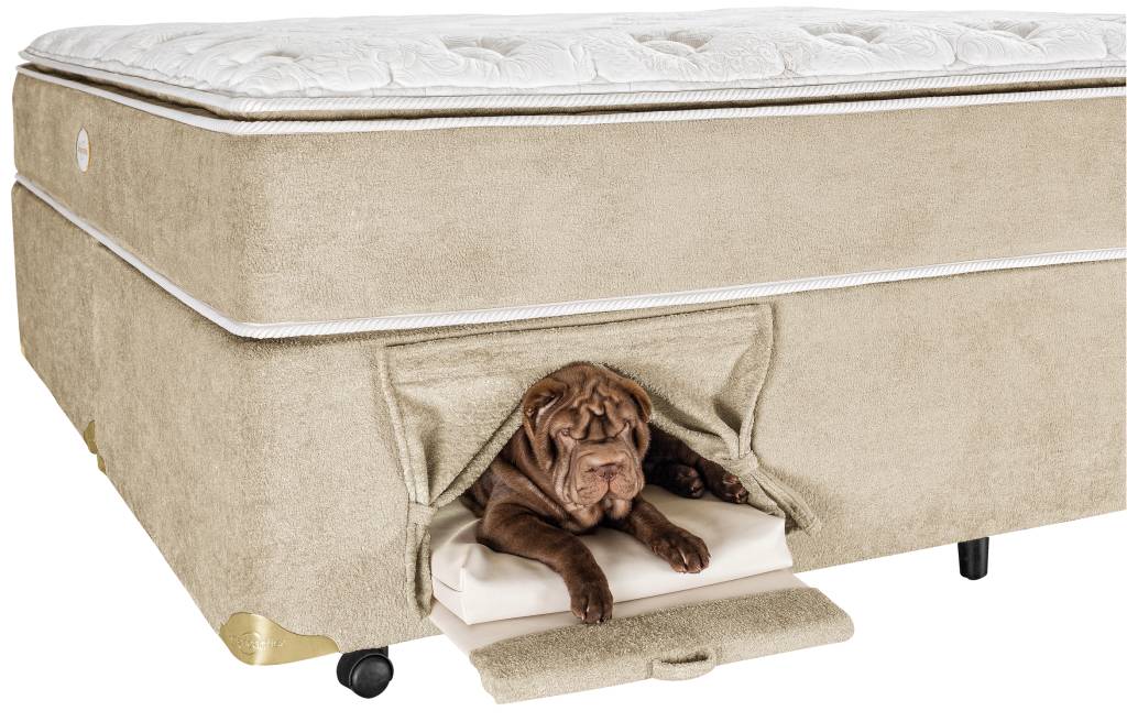 Cama box com nicho para pets faz sucesso no mercado