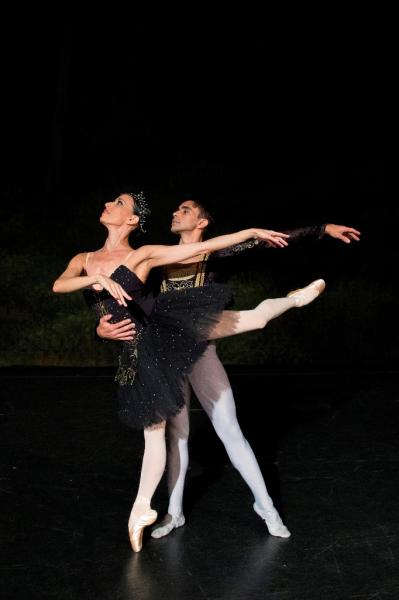 Theatro Municipal apresenta Lago dos Cisnes