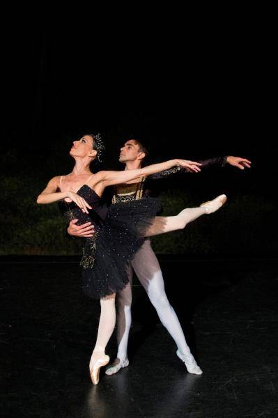Theatro Municipal apresenta Lago dos Cisnes
