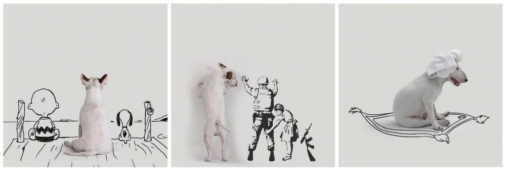 Perfis imperdíveis de animais para seguir no Instagram