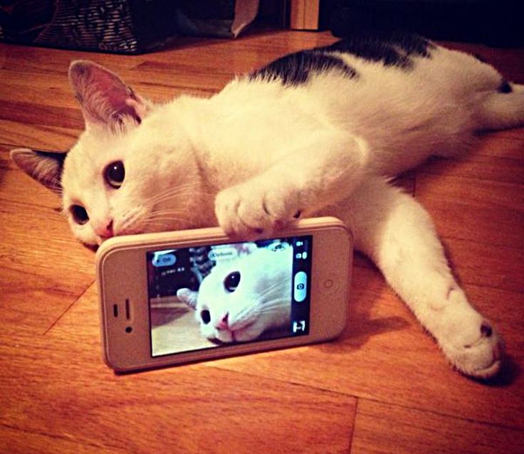 Aplicativo Hashcat