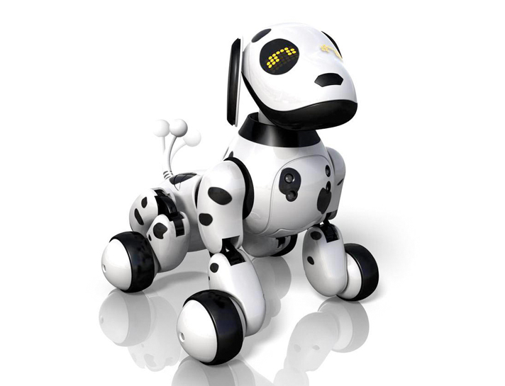 zoomer
