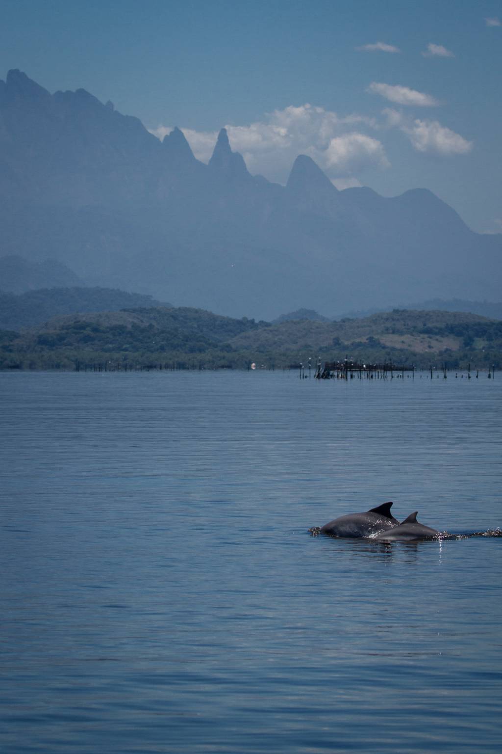 Baía de Guanabara ganha sistema de monitoramento especial em dezembro