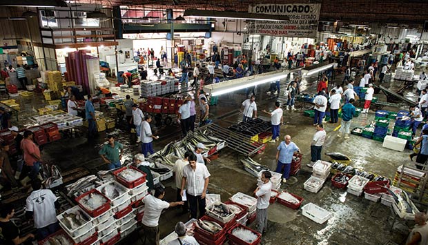 De onde vem nosso sushi