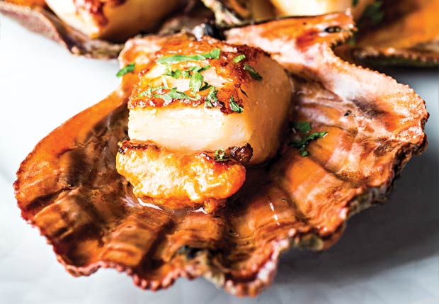 Satyricon: melhor restaurante de peixes e frutos do mar Satyricon: melhor restaurante de peixes e frutos do mar