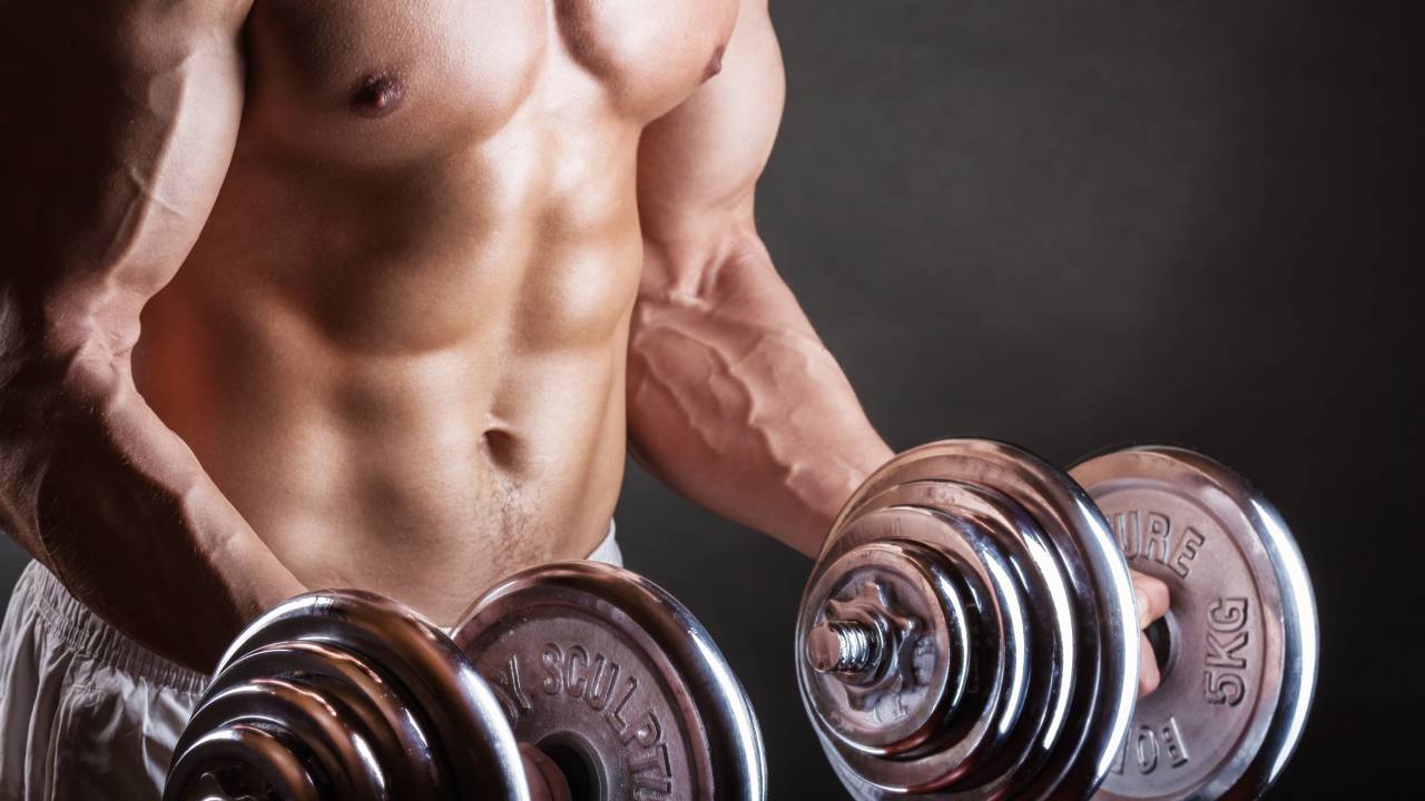 musculação