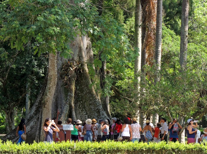 Jardim Botânico: visitantes poderão plantar mudas