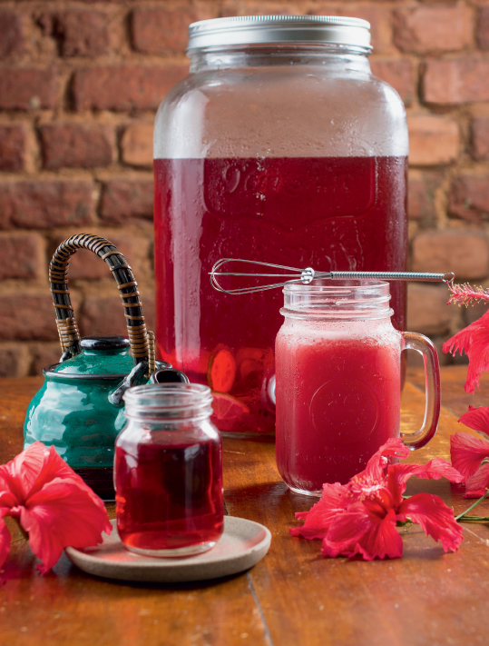 Chá de hibisco conquista cariocas adeptos do bem-estar e da boa forma