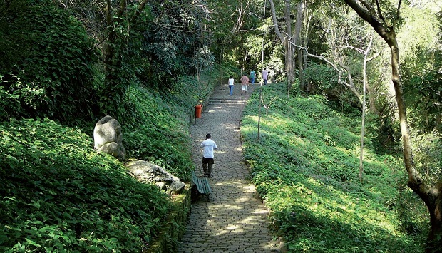 Parque da Catacumba recebe certificado de excelência