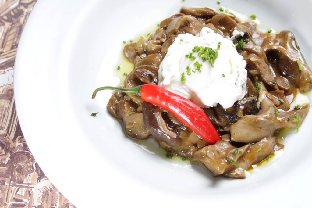 Um roteiro por saborosas receitas com cogumelos