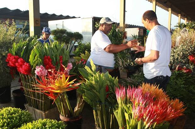 Rio tem novo mercado de flores