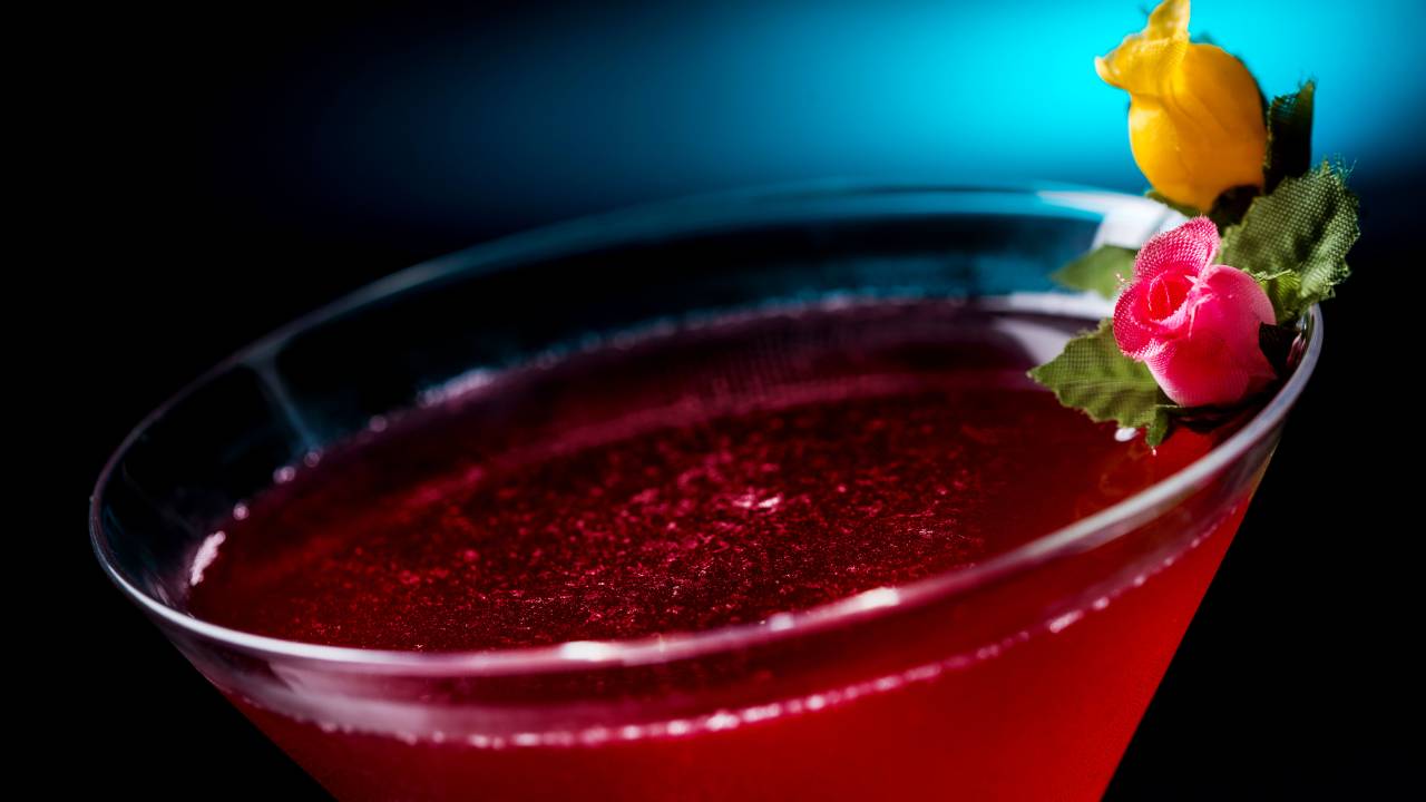 teto-solar-rosemary-s-garden-martini-a-base-de-gin-cha-de-hibiscus-limao-cranberry-e-agua-de-rosas-01.jpeg