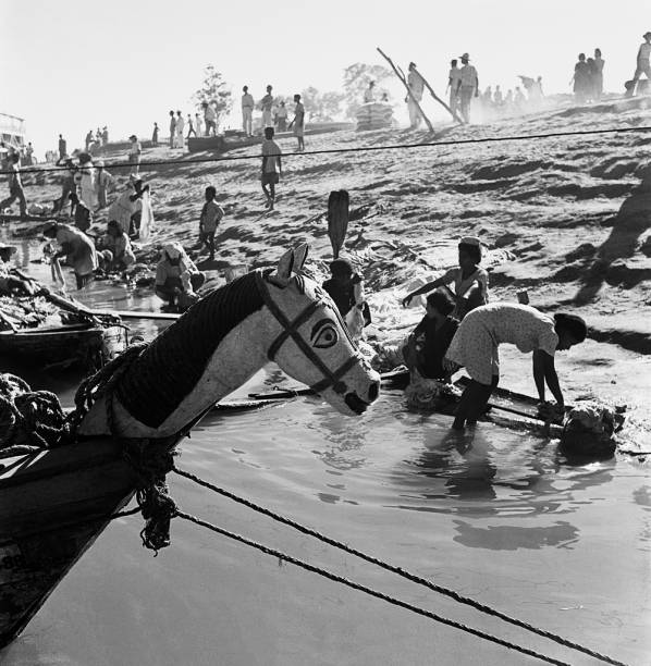 Fotografia de Marcel Gautherot: carrancas adornando barcos ao longo do Rio São Francisco