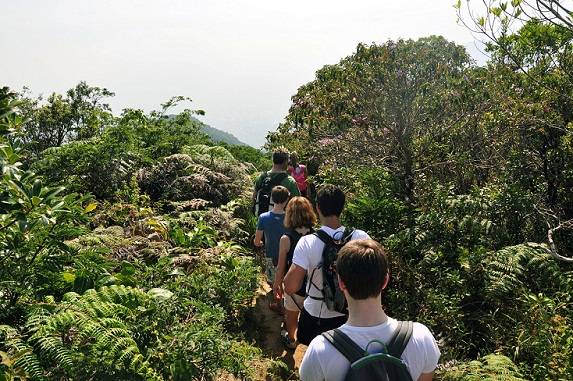Do Morro da Urca ao Telégrafo, as trilhas para aproveitar o Rio no outono