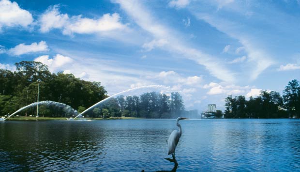 ibirapuera.jpg