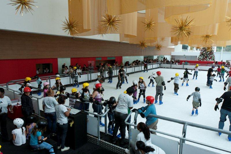 9 - Se divertir com a família patinando no gelo