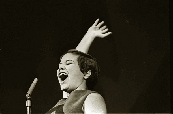 Parque das Ruínas recebe homenagem à Elis Regina