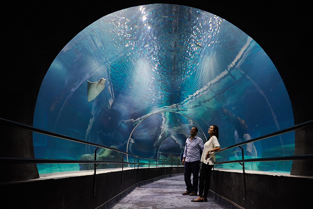 Região do Porto ganha novas atrações