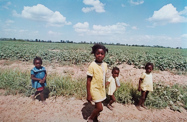 William Eggleston: do portfólio do portfólio Troubled Waters, 1980