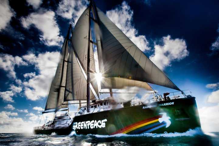 Greenpeace abre seu navio ambiental para visitação no Pier Mauá