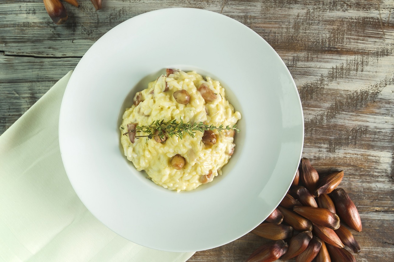 Mensateria_risoto de pinh&atilde;o
