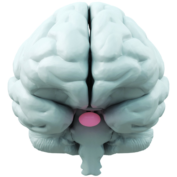 Hipnose: mitos e verdades