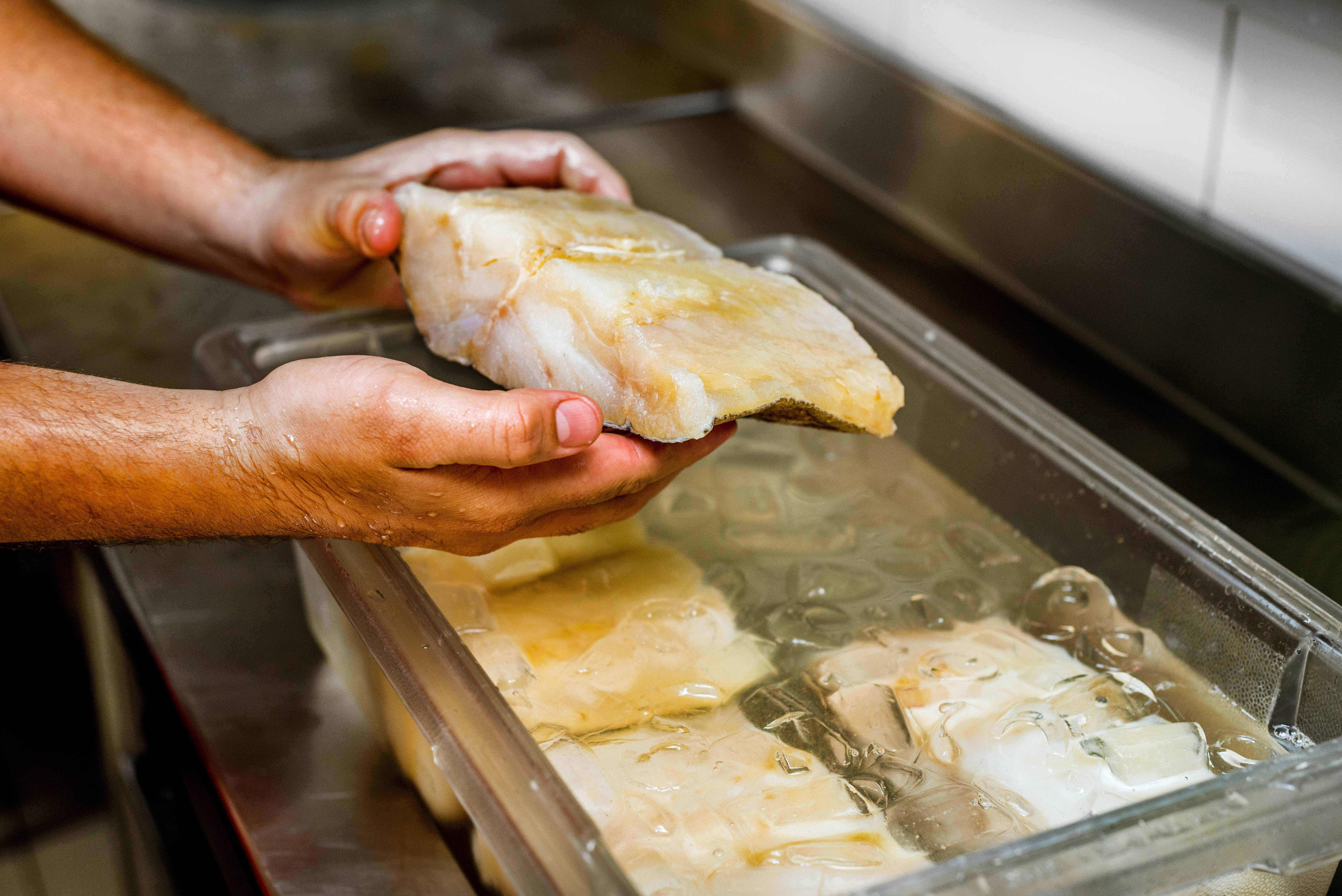 DSC_5725 &ndash; FILICO