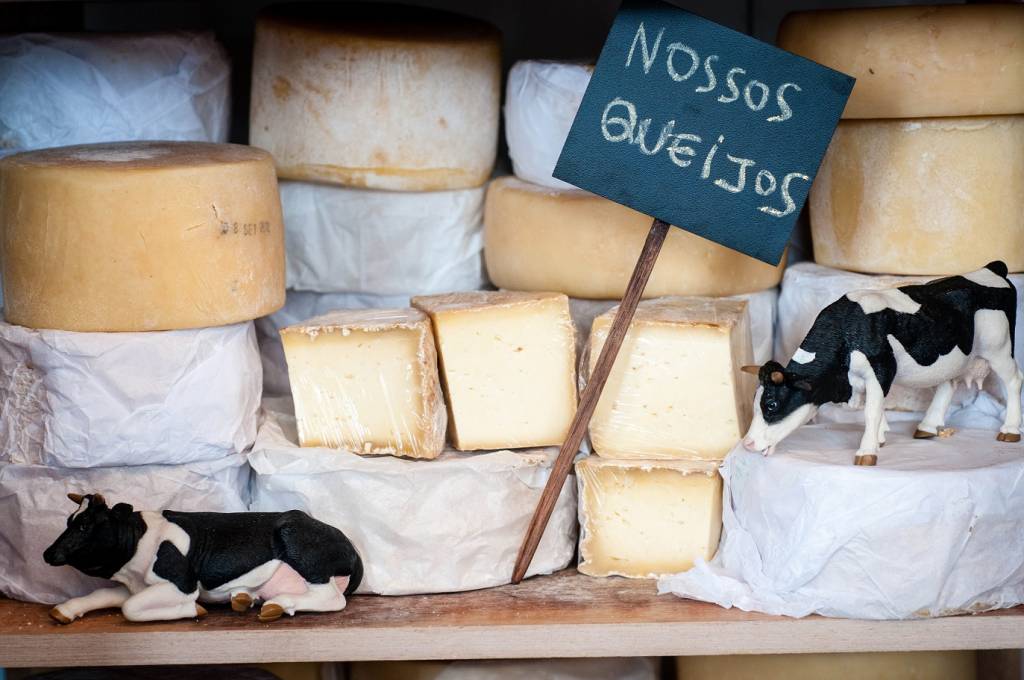 Quatro casas para comprar ótimos queijos brasileiros