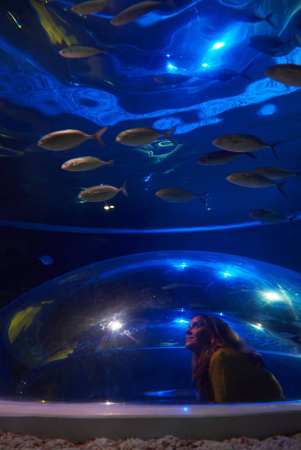AquaRio