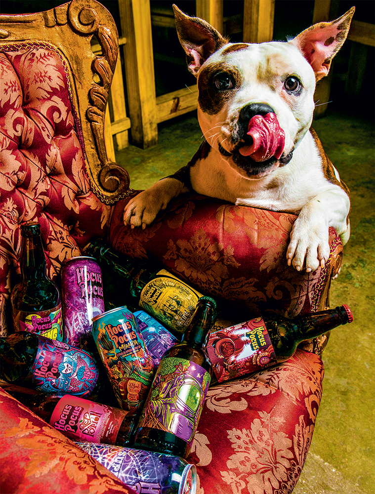 Comer &Beber 2017: Hocus Pocus é a melhor cervejaria artesanal