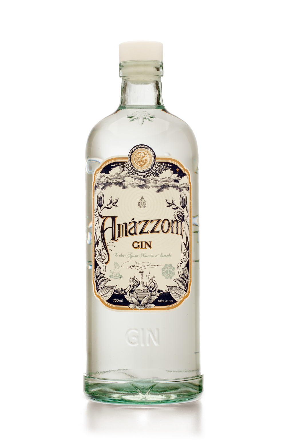 Gim brasileiro Amázzoni é premiado em concurso mundial