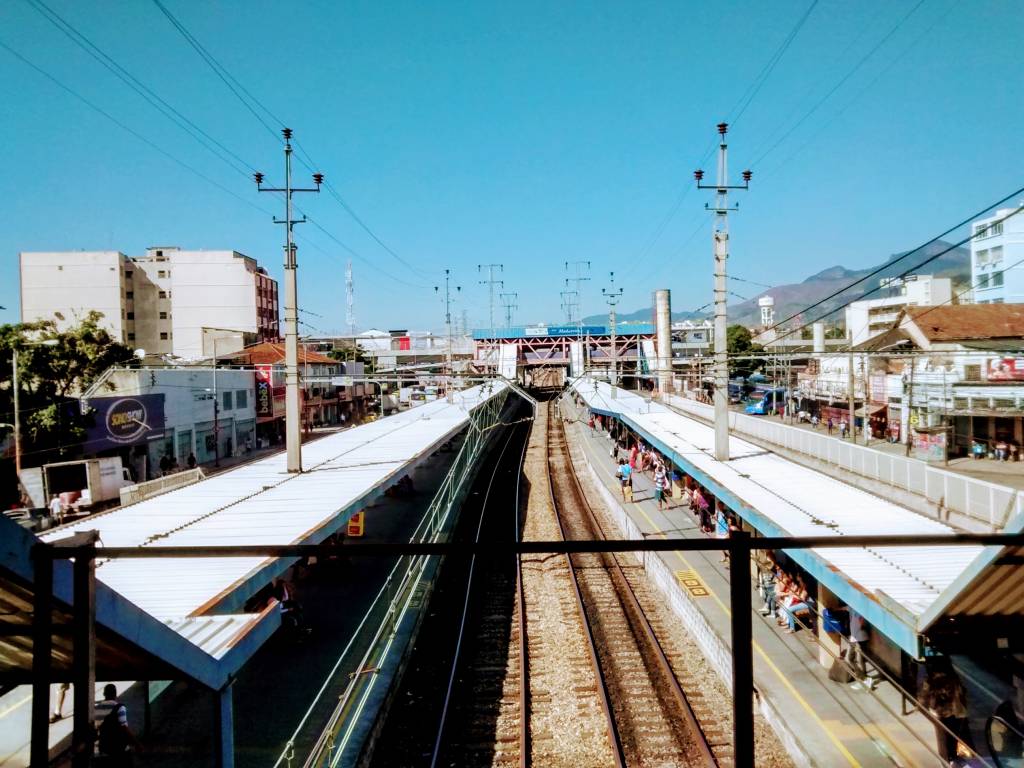 Lanchonete armazenava carne para salgados junto com ração canina