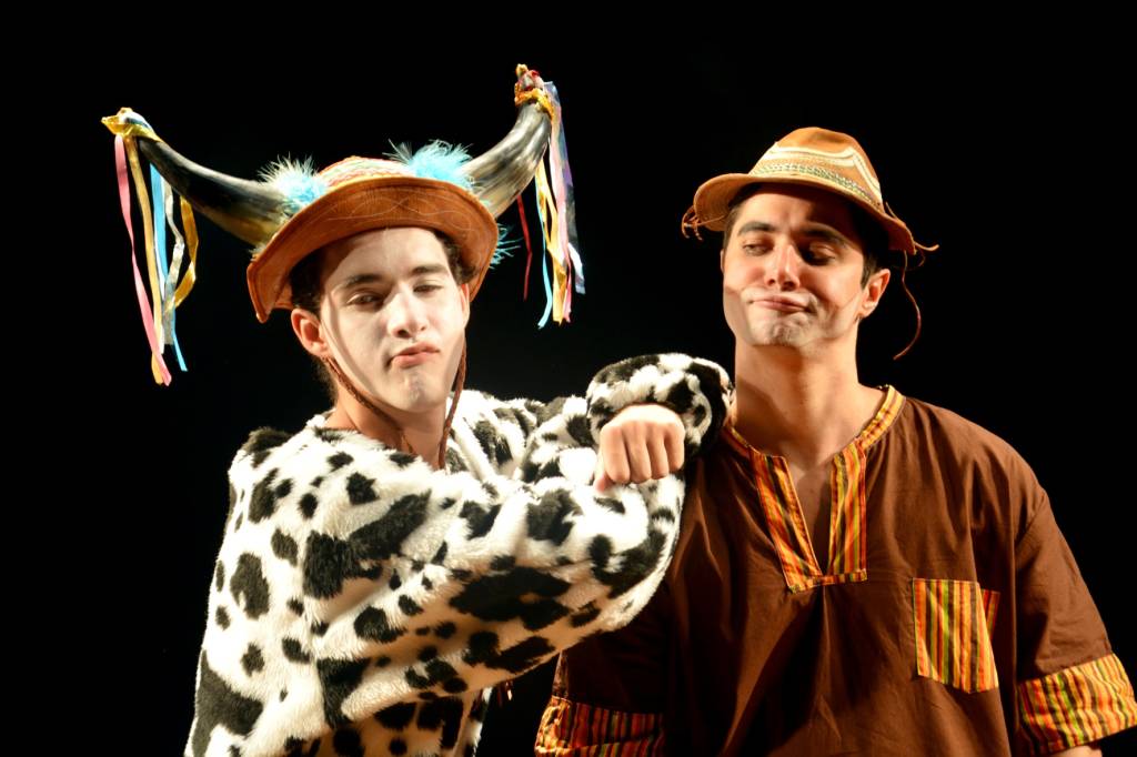 Obra de Ariano Suassuna é adaptada para crianças