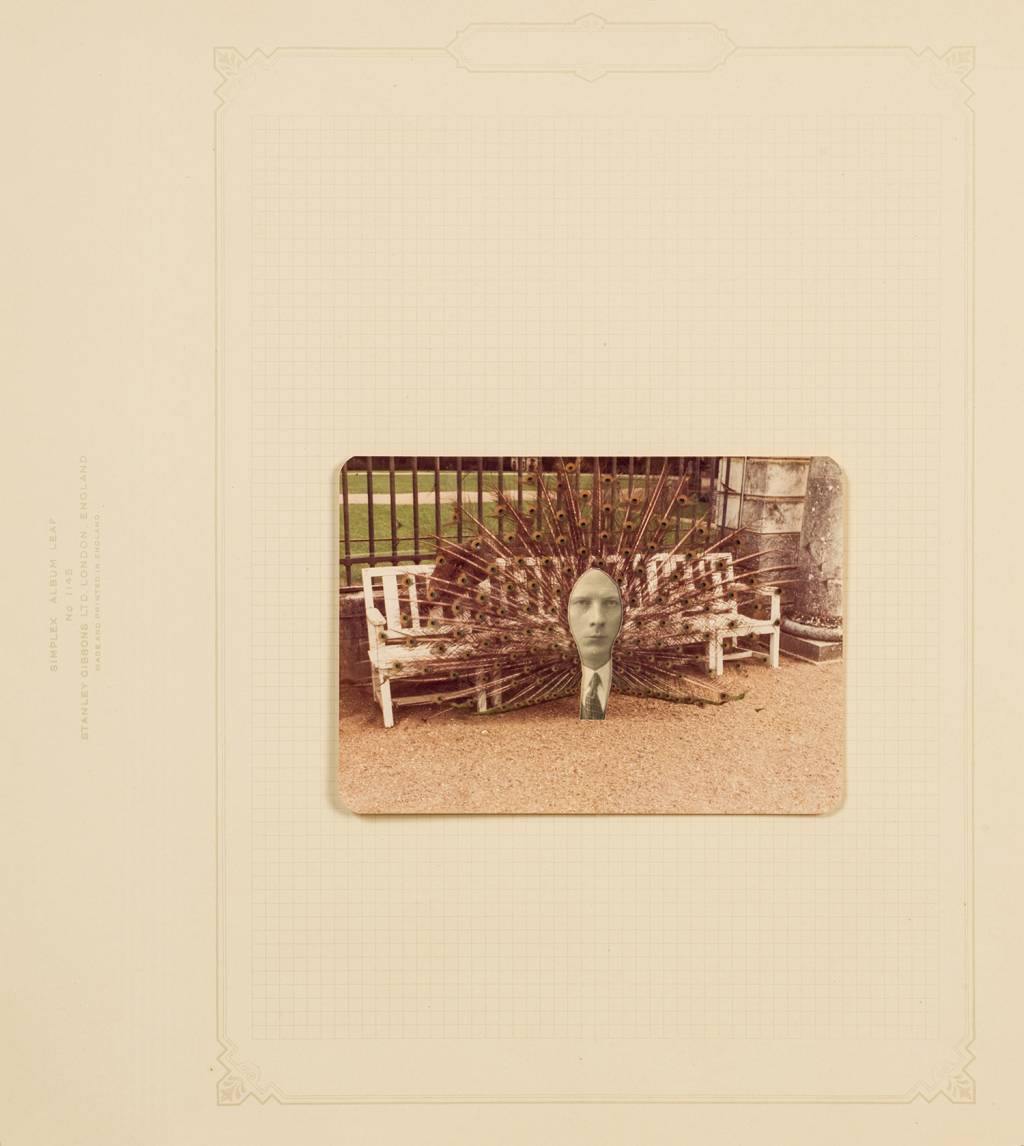 Aliança Francesa apresenta vencedores de concurso fotográfico