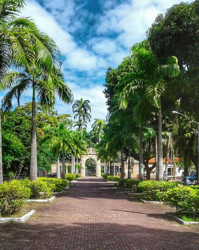 Missão Instagram: Rio selvagem