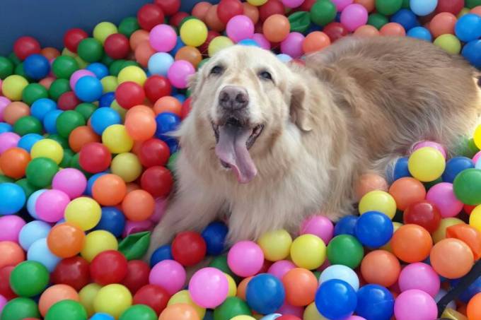 Confira 31 atrações gratuitas para curtir este fim de semana