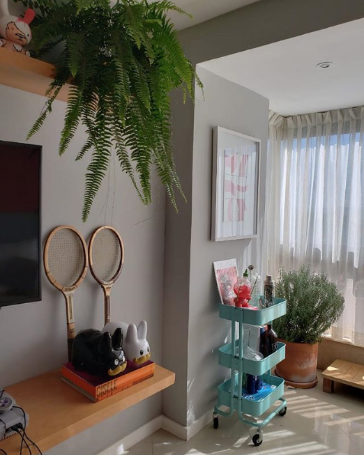 Missão Instagram: Florestas urbanas