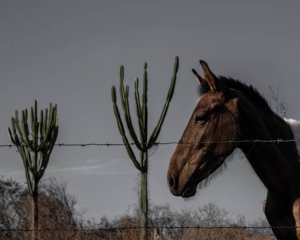 As cinco melhores exposições em cartaz