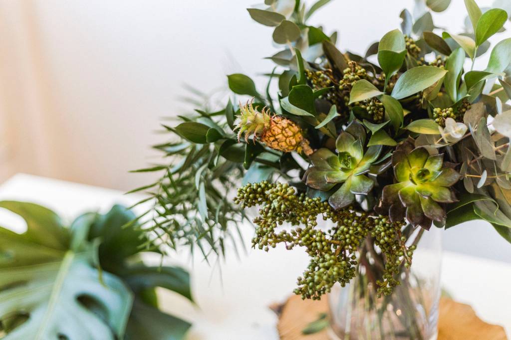 5 plantas que vão sobreviver sem água no Carnaval