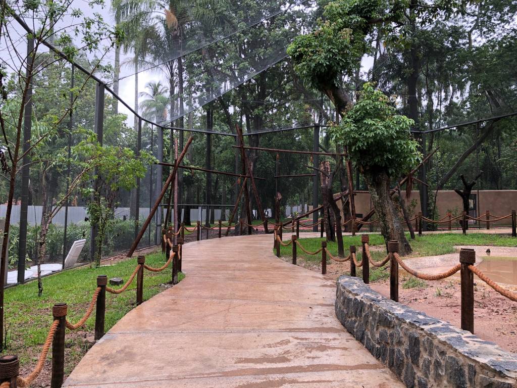 Fechados, aquário e zoológico do Rio têm programação on-line