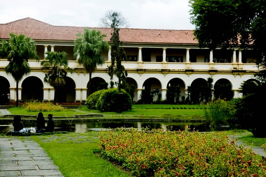 UFRRJ cria sistema inteligente que ajuda a diagnosticar a Covid-19